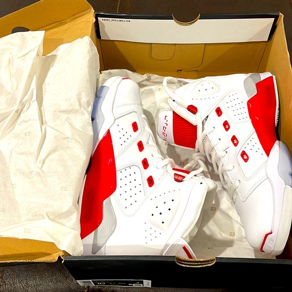 BNIB DS Nike Air Jordan 6 17 23 Sz 10 Dunks Kobe Lebron - Picture 8 of 9